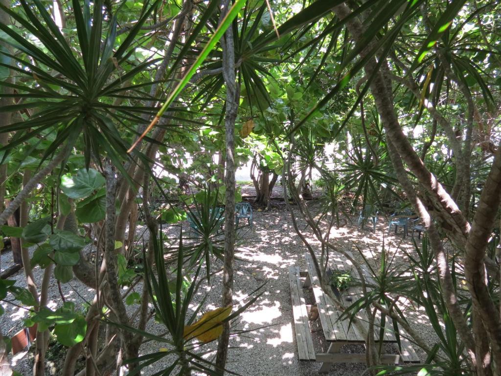 Ed & Ellen'S Lodgings Key Largo Exterior foto