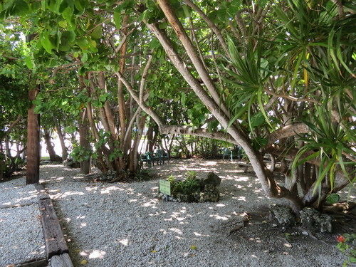Ed & Ellen'S Lodgings Key Largo Exterior foto